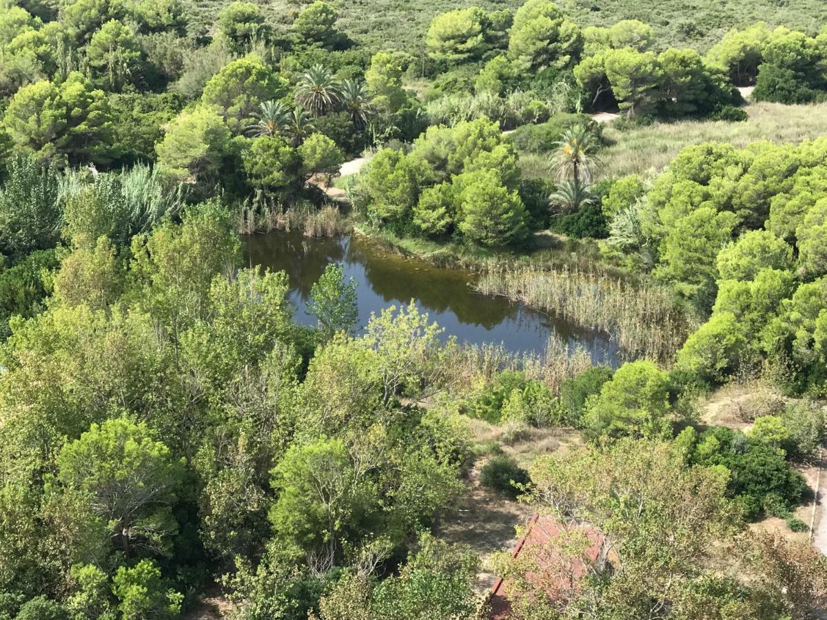 Gran Apartamento, Un Lujo En Playa El Saler - Valencia Zewnętrze zdjęcie